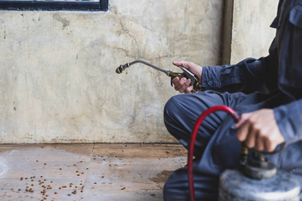 Best Exterminator Services  in Wren, AR